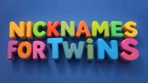 nicknames for twins