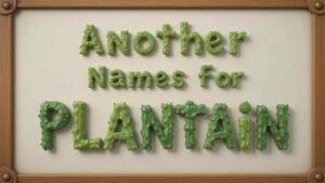 another names for plantain