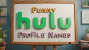 funny hulu profile names