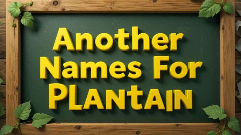 another name for plantain
